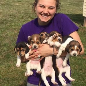 Meet your Posher, Lauren